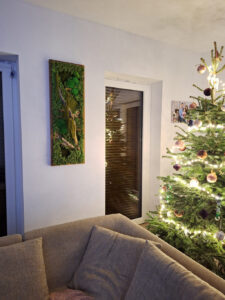 Inárcsa, családi ház - tartósított zöldfal