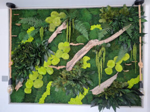 Dzsungel hatású lakás - tartósított zöldfal