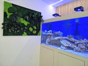 Szolnoki iroda zöldfal