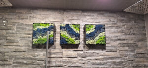 Dzsungel hatású lakás - tartósított zöldfal