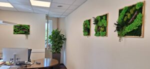 Budapest, vezetői iroda - tartósított zöldfal