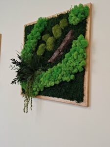 Budapest, vezetői iroda - tartósított zöldfal