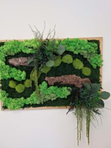 Budapest, vezetői iroda - tartósított zöldfal