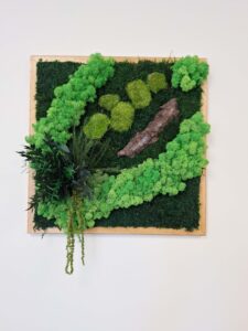 Budapest, vezetői iroda - tartósított zöldfal