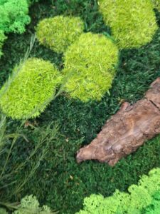 Budapest, vezetői iroda - tartósított zöldfal