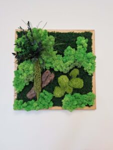 Budapest, vezetői iroda - tartósított zöldfal