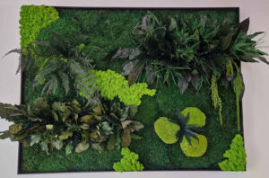 Szolnoki iroda zöldfal