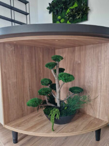 Szolnoki iroda zöldfal