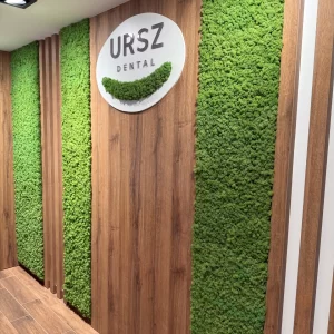 Ursz dentall zöldfal