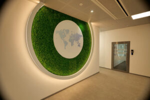 Richter Gedeon zöldfal