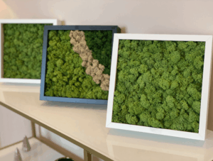 Budapest, Hungária krt. magánlakás