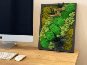 Budapest, Hungária krt. magánlakás