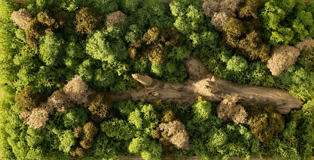 Budapest, Hungária krt. magánlakás