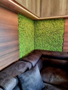 Budapest, magánlakás, nappali falpanel - tartósított zöldfal