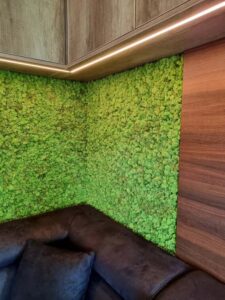 Budapest, magánlakás, nappali falpanel - tartósított zöldfal