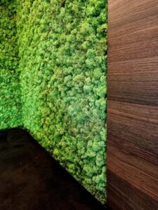 Budapest, magánlakás, nappali falpanel - tartósított zöldfal