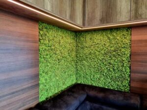 Budapest, magánlakás, nappali falpanel - tartósított zöldfal