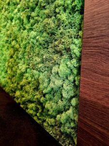 Budapest, magánlakás, nappali falpanel - tartósított zöldfal