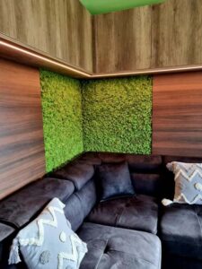 Budapest, magánlakás, nappali falpanel - tartósított zöldfal