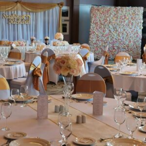 Bérelhető fotóhátterek